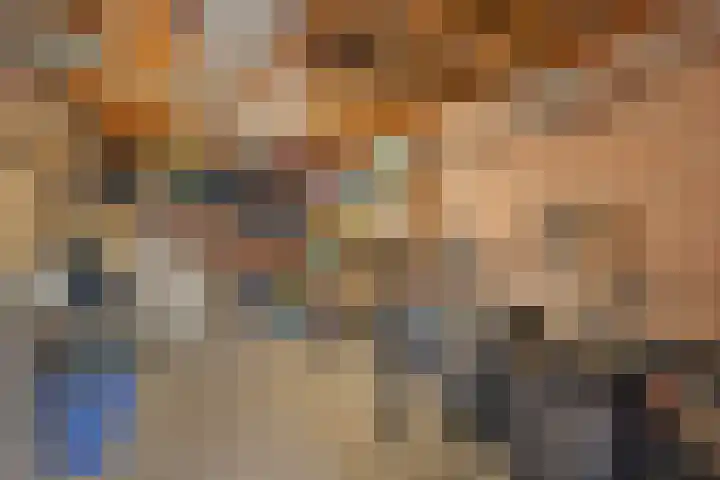 Warande 71 Wijk bij Duurstede thumbnail 29