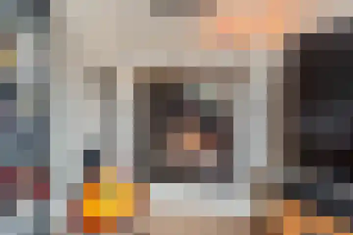 Warande 71 Wijk bij Duurstede thumbnail 9
