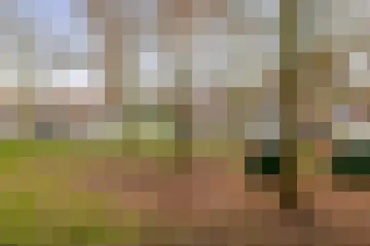 Warande 75 Rotterdam thumbnail 20