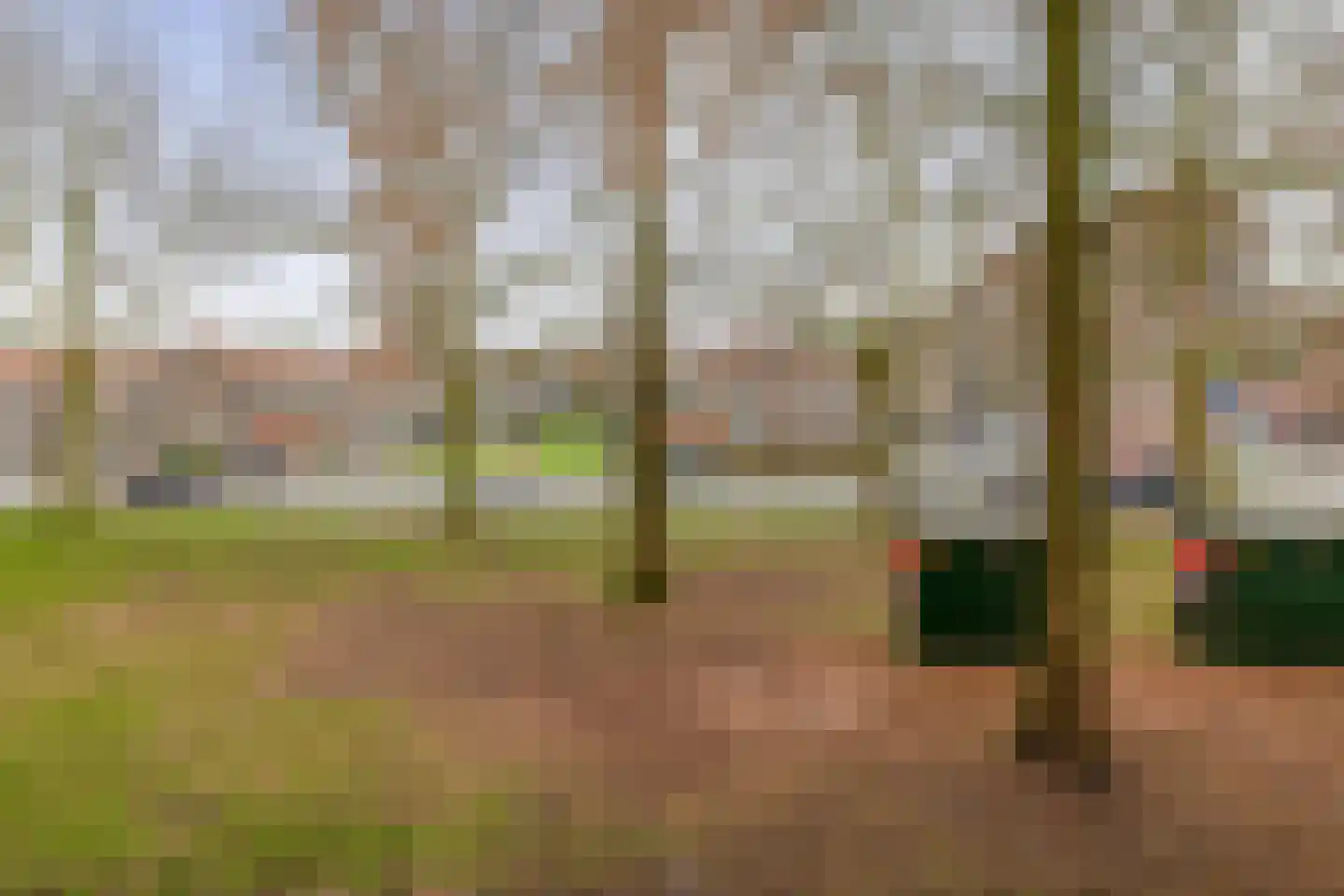 Warande 75 Rotterdam thumbnail 20