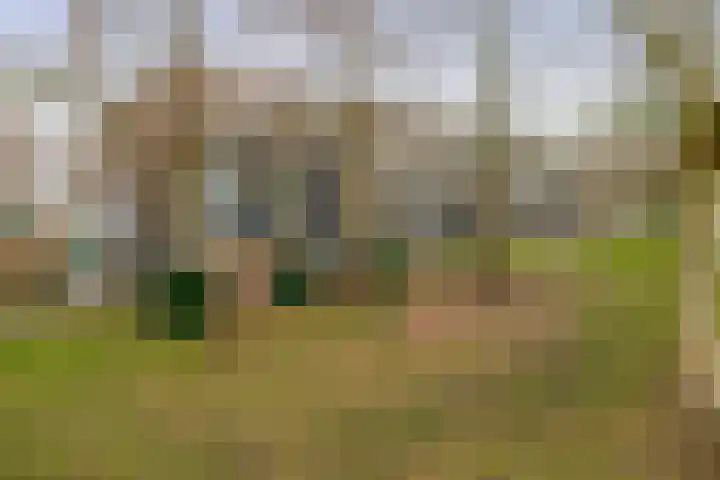 Warande 75 Rotterdam thumbnail 6