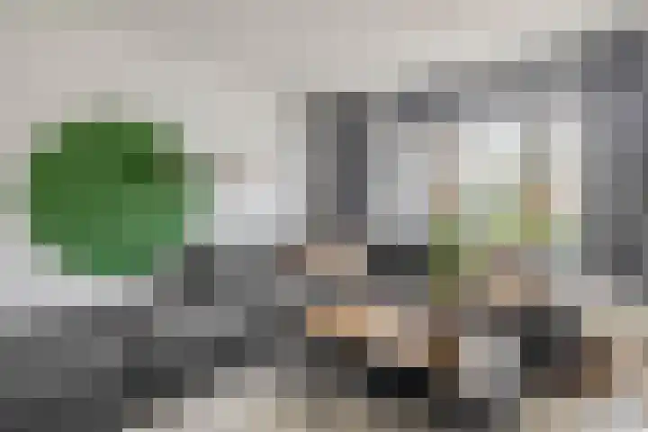 Warande 75 Rotterdam thumbnail 8