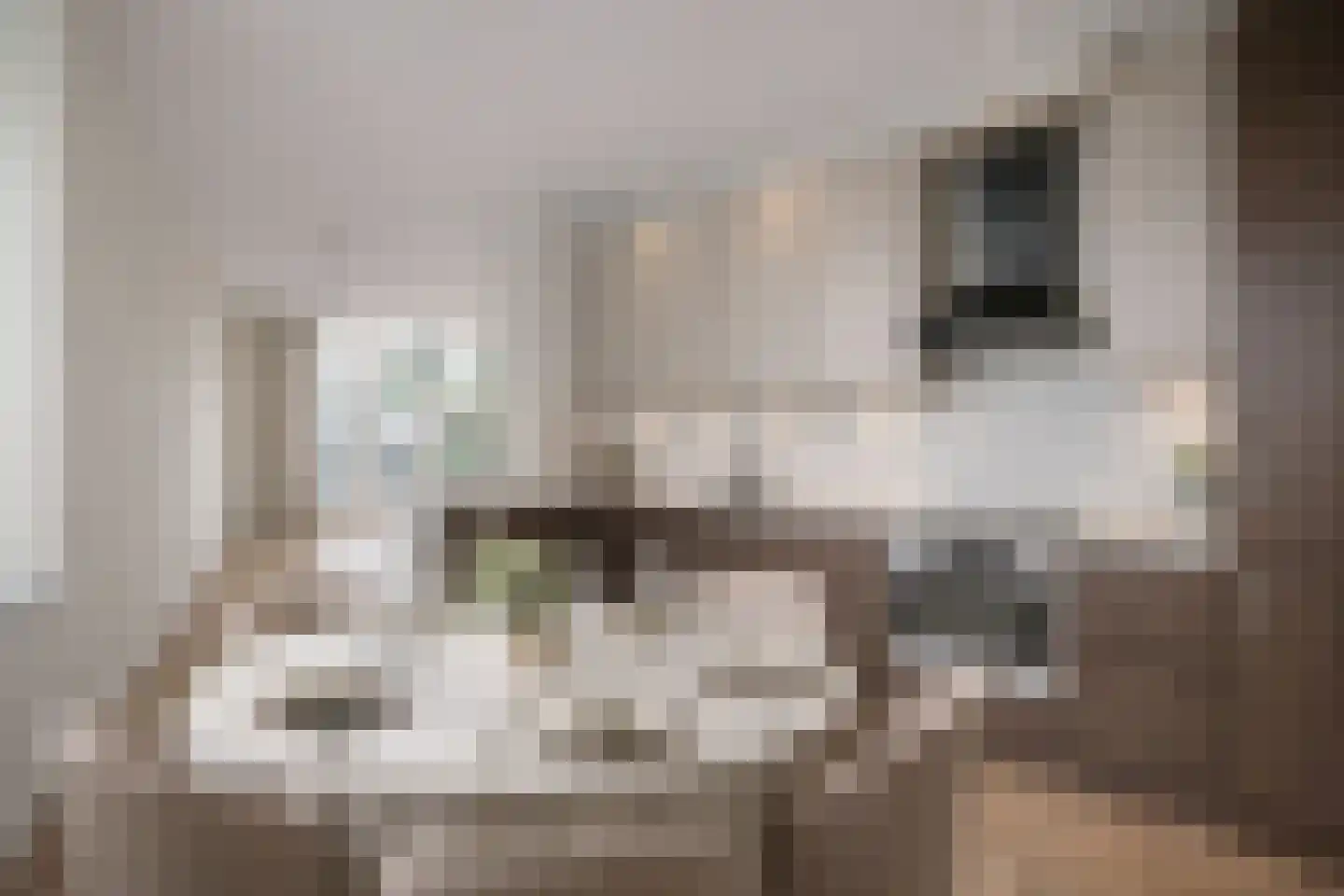 Warande 77 Rijswijk thumbnail 12