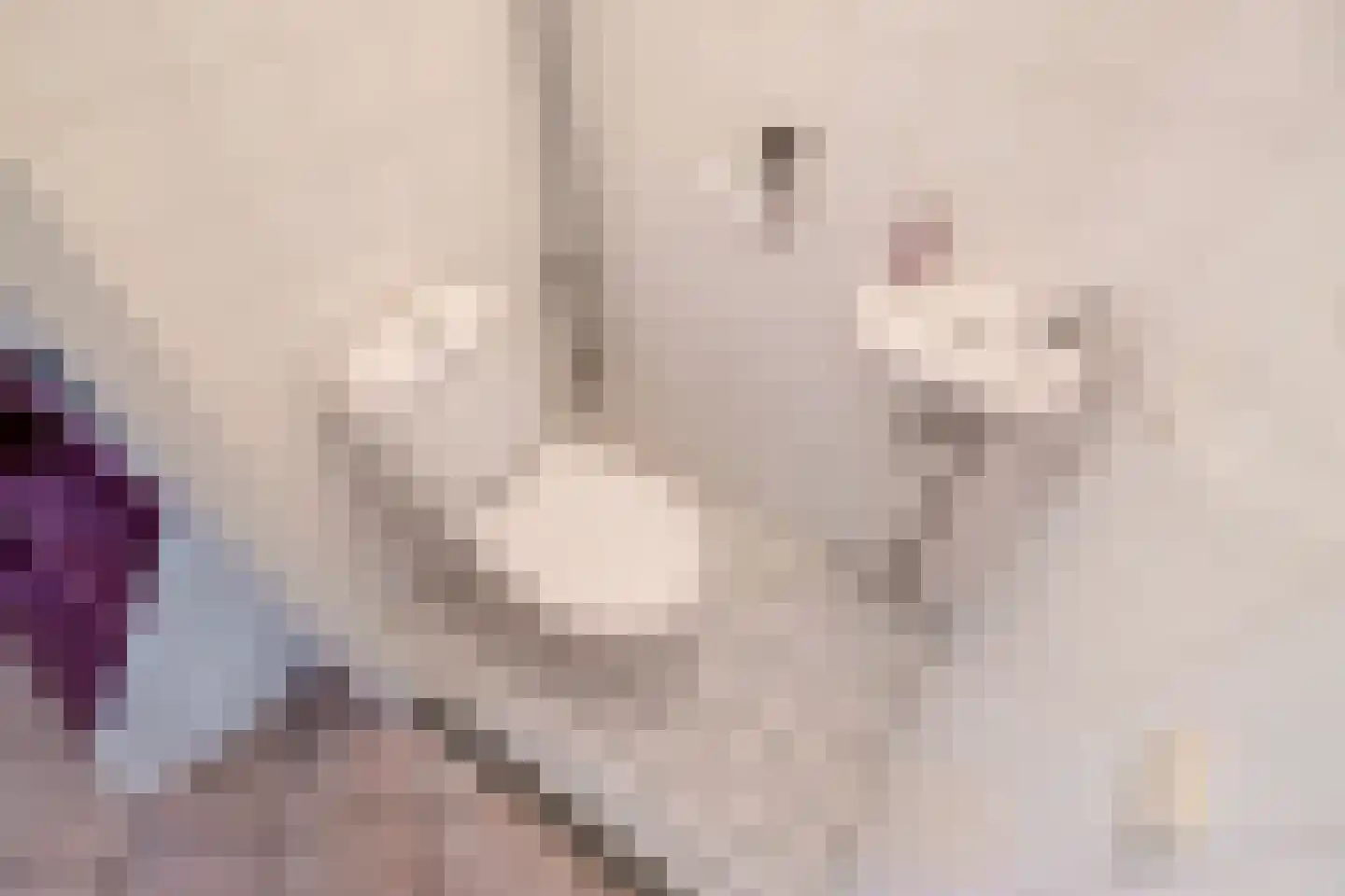 Warande 77 Rijswijk thumbnail 15