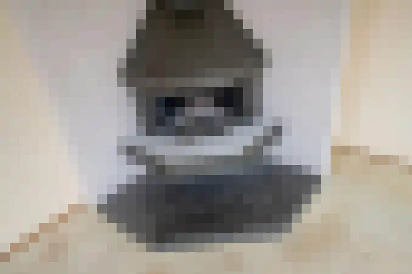Warande 77 Rijswijk thumbnail 34