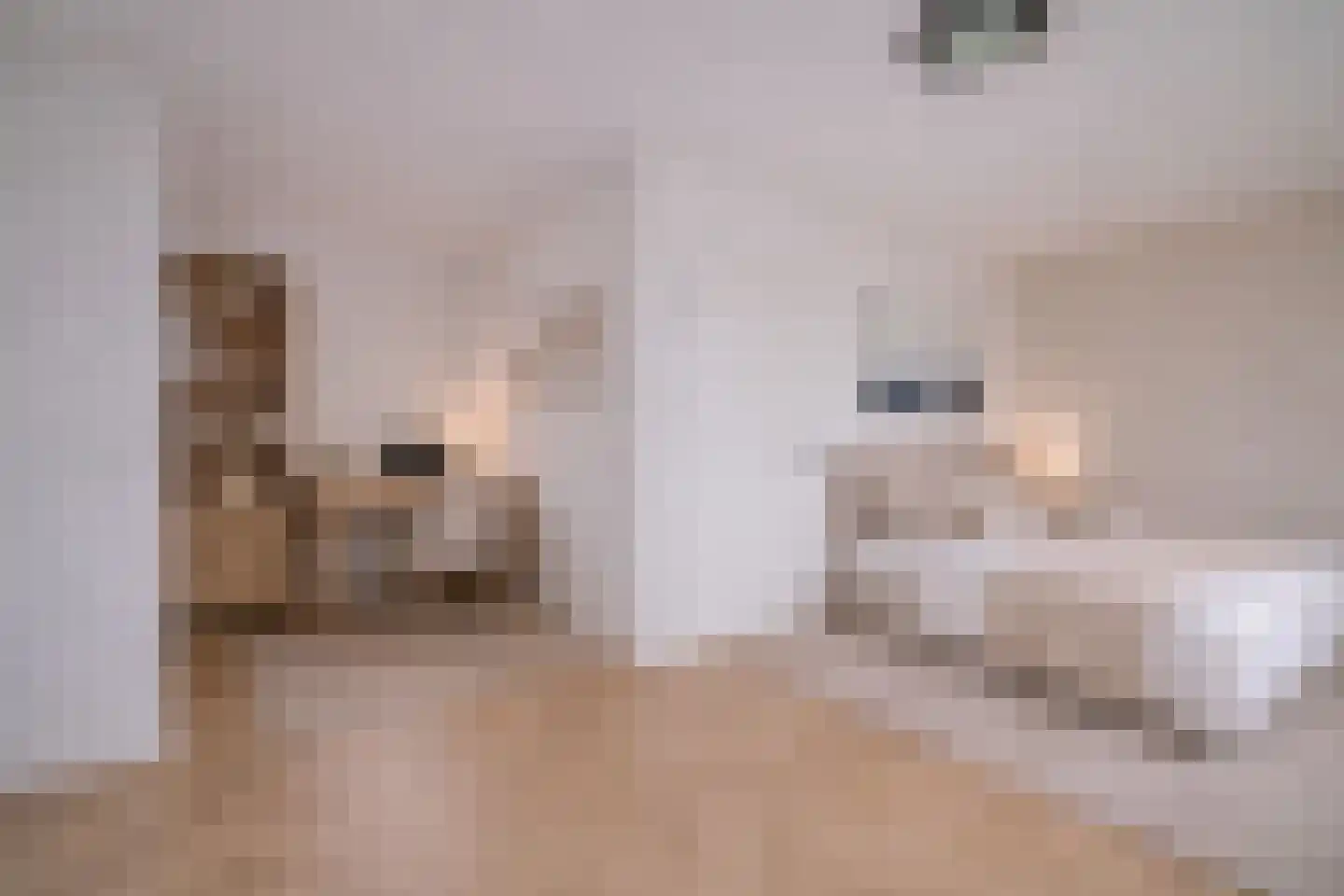 Warande 77 Rijswijk thumbnail 35