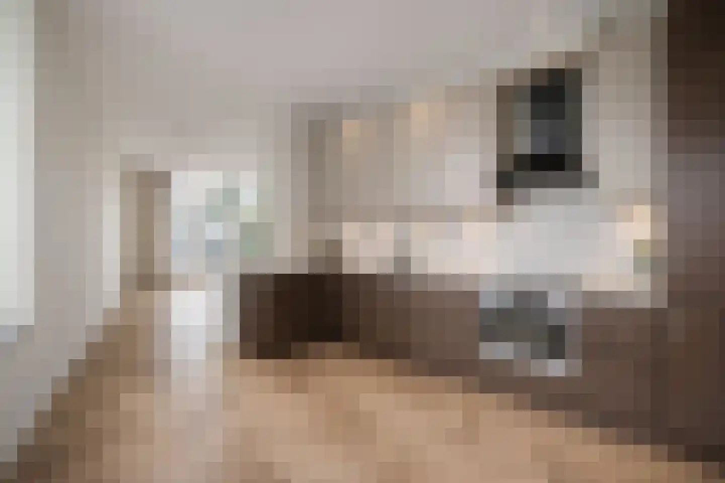 Warande 77 Rijswijk thumbnail 9