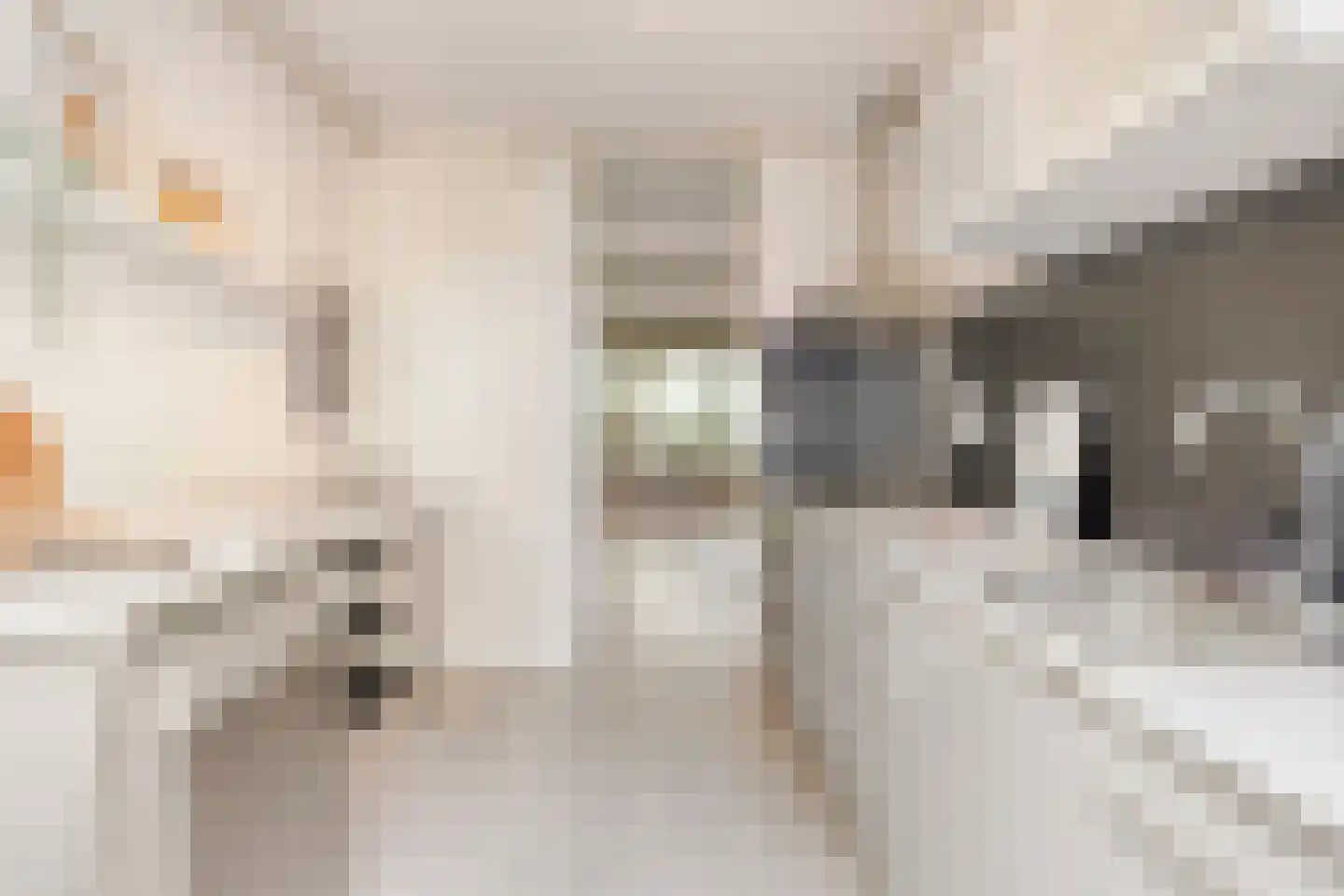 Warande 81 Rotterdam thumbnail 12