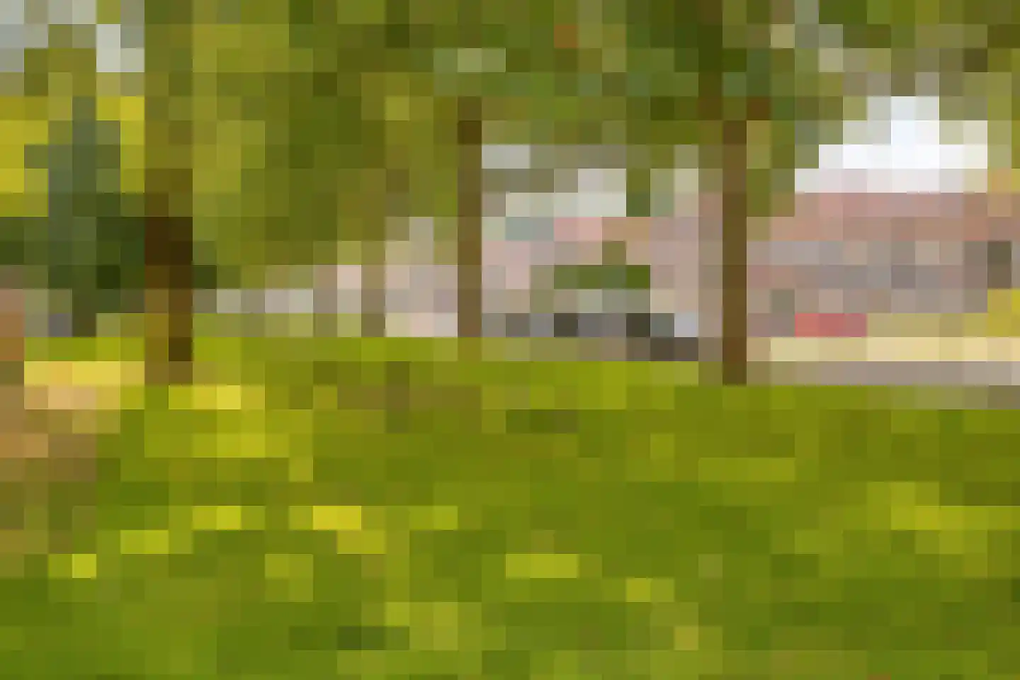 Warande 81 Rotterdam thumbnail 25