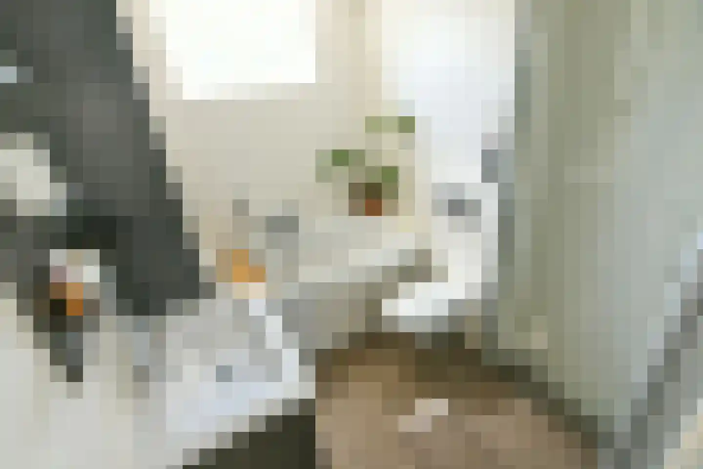 Warande 85 Nieuw-Vennep thumbnail 29