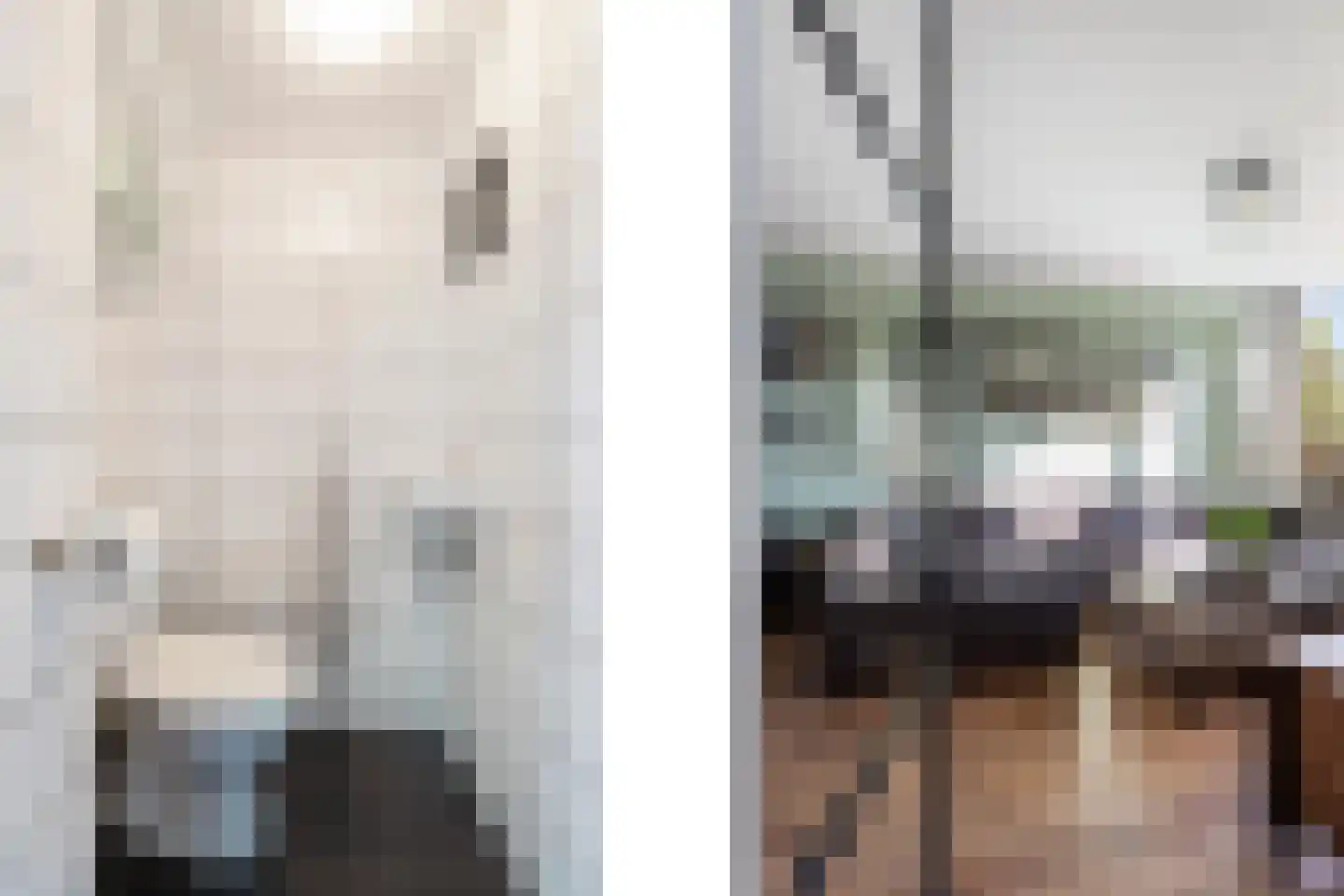 Warande 9 Heerjansdam thumbnail 11