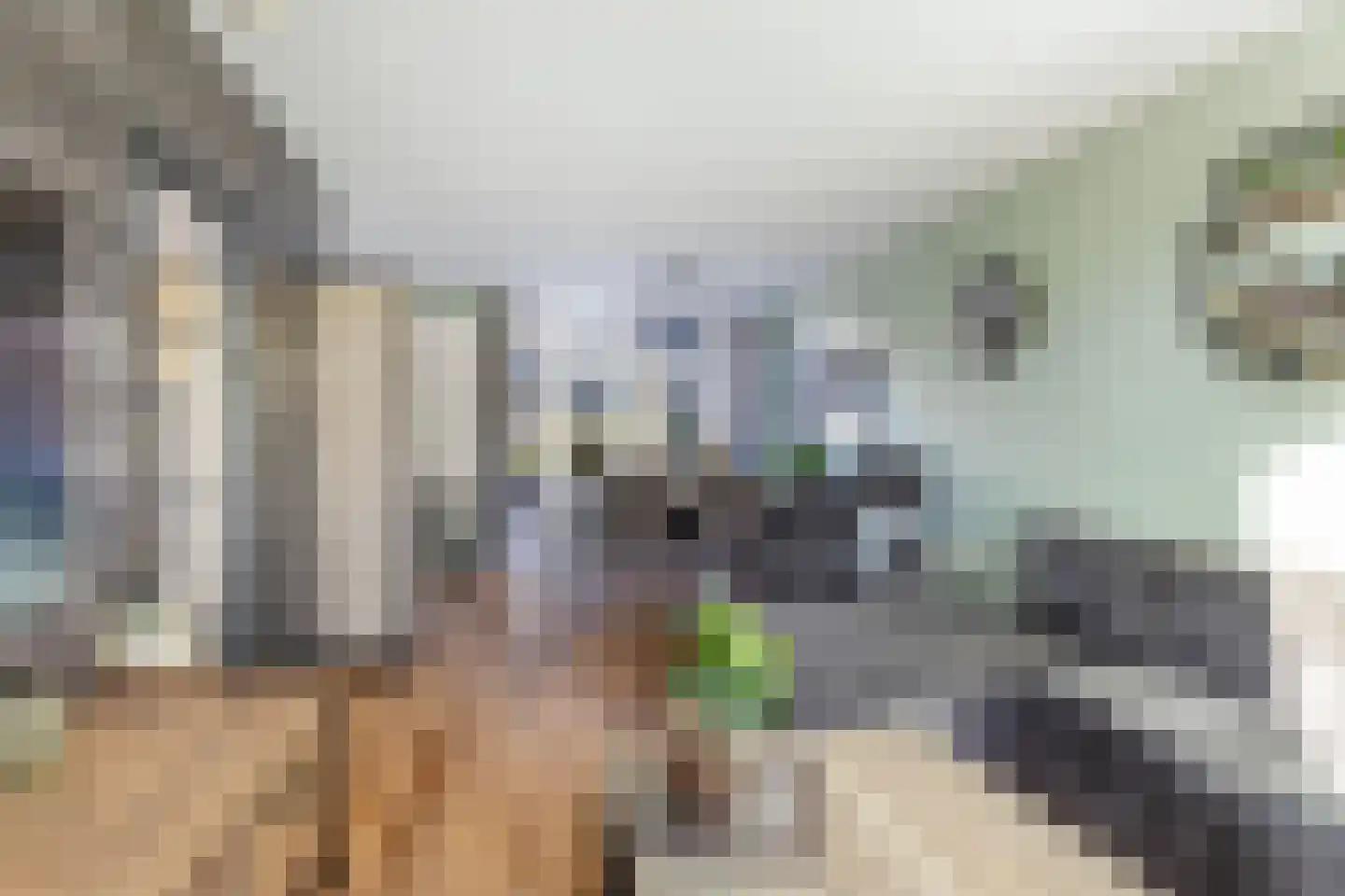 Warande 9 Heerjansdam thumbnail 14