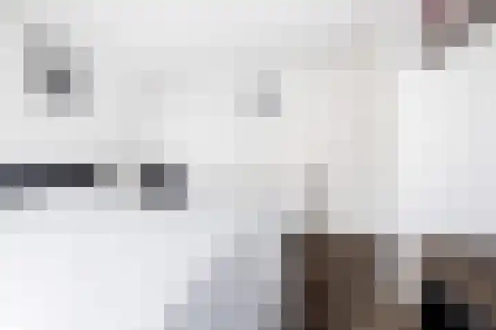 Warande 9 Heerjansdam thumbnail 20