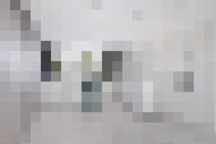 Warande 9 Heerjansdam thumbnail 30