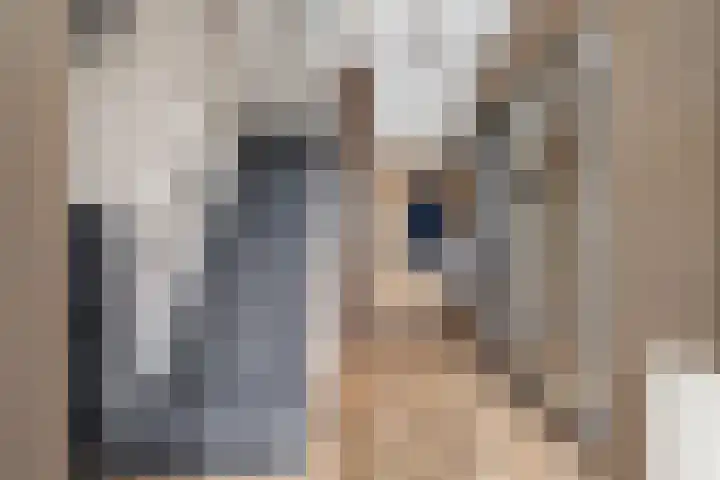 Warande 9 Heerjansdam thumbnail 9
