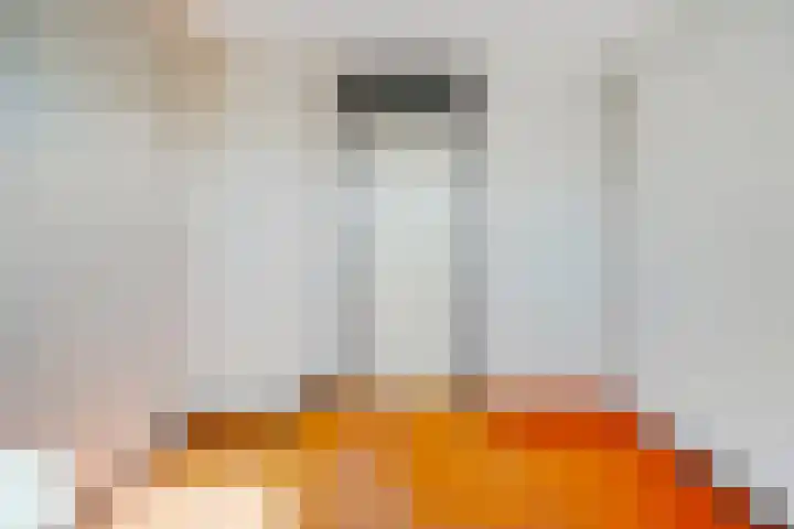 Warande 9 Nieuw-Vennep thumbnail 30