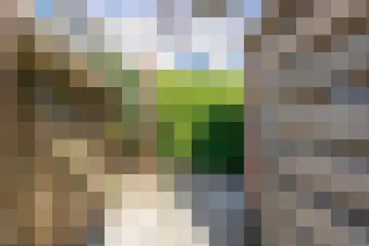 Warande 9 Nieuw-Vennep thumbnail 41