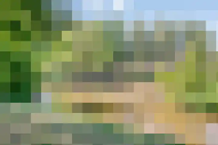 Warande 9 Nieuw-Vennep thumbnail 43