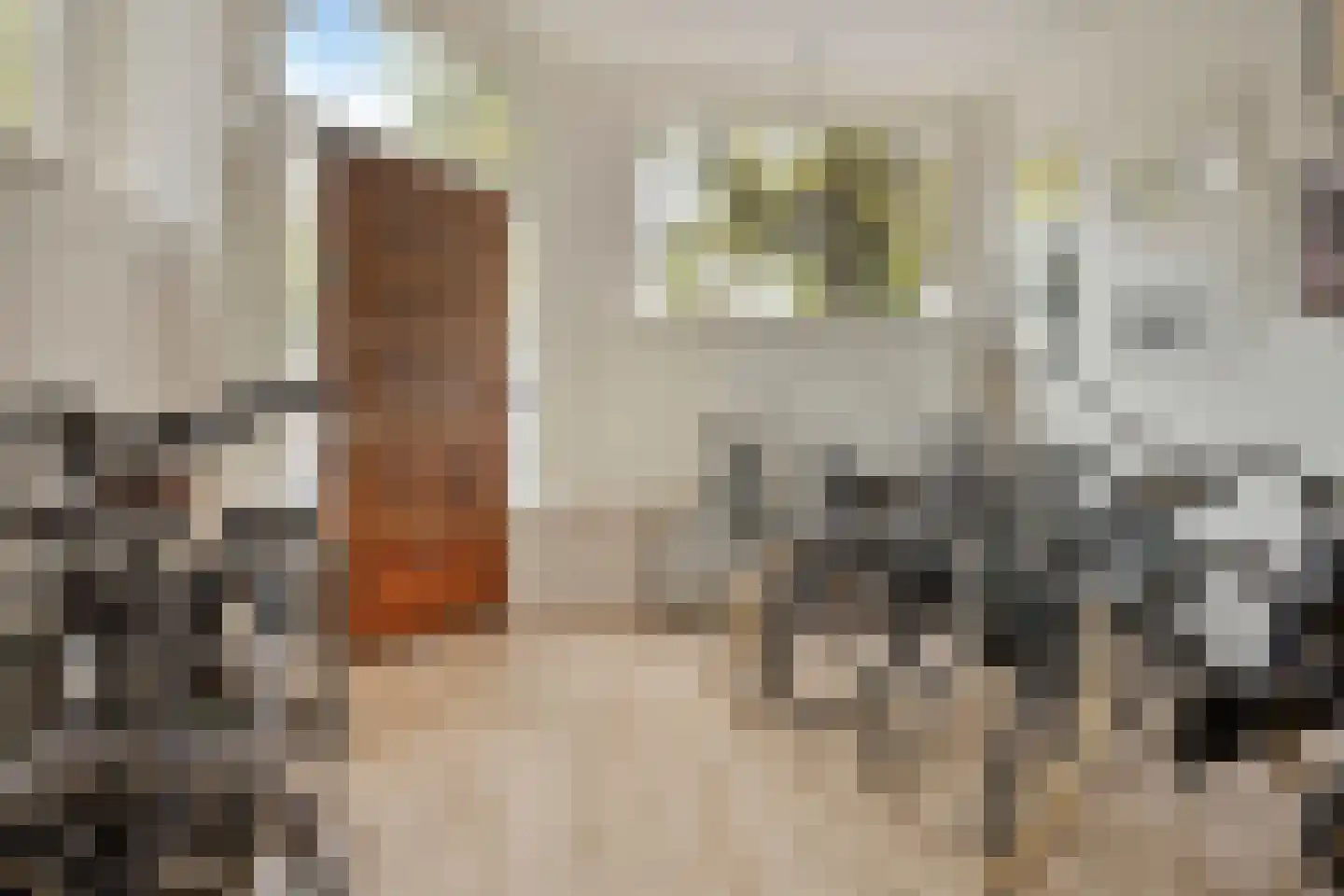 Warande 99 Schiedam thumbnail 12