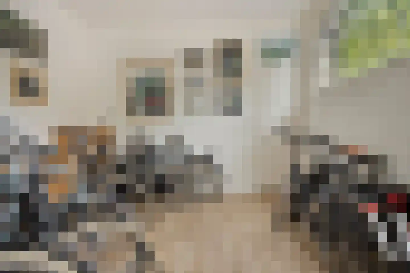 Warande 99 Schiedam thumbnail 13
