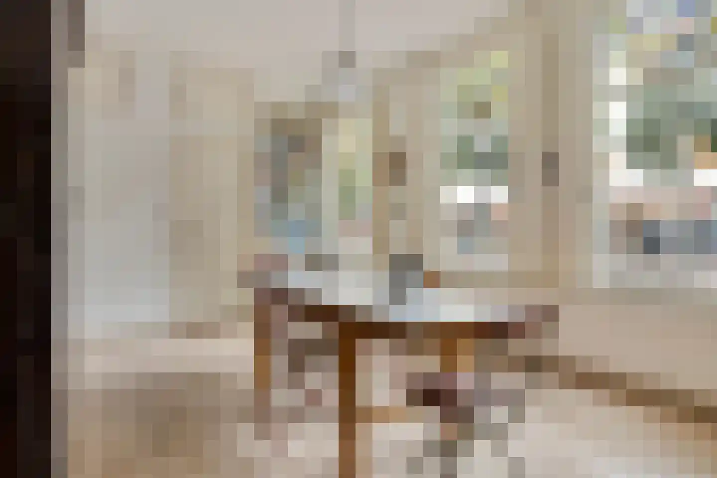 Warande 99 Schiedam thumbnail 14