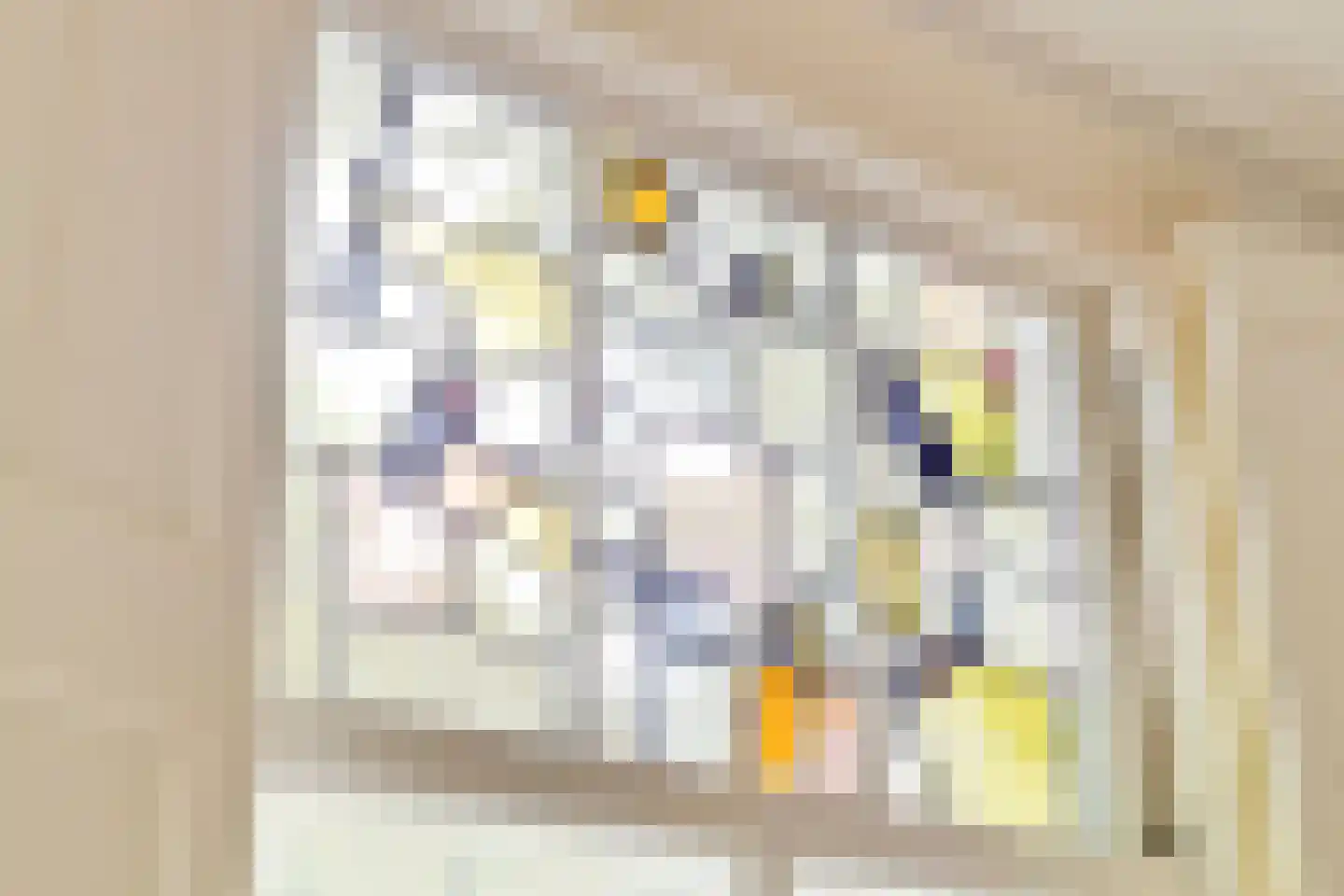 Warande 99 Schiedam thumbnail 16