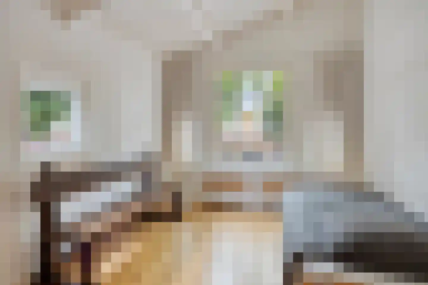 Warande 99 Schiedam thumbnail 32