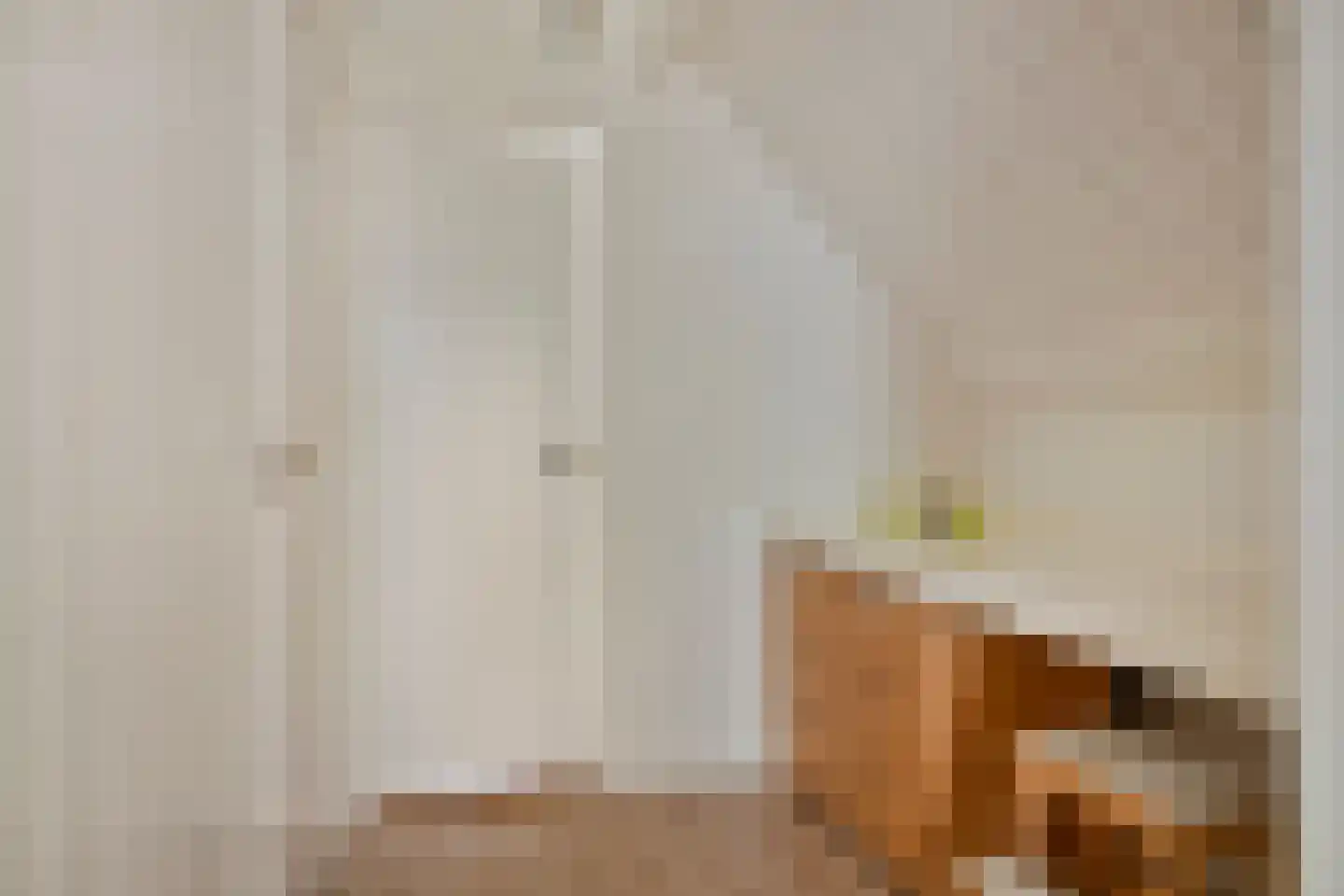 Warande 99 Schiedam thumbnail 35