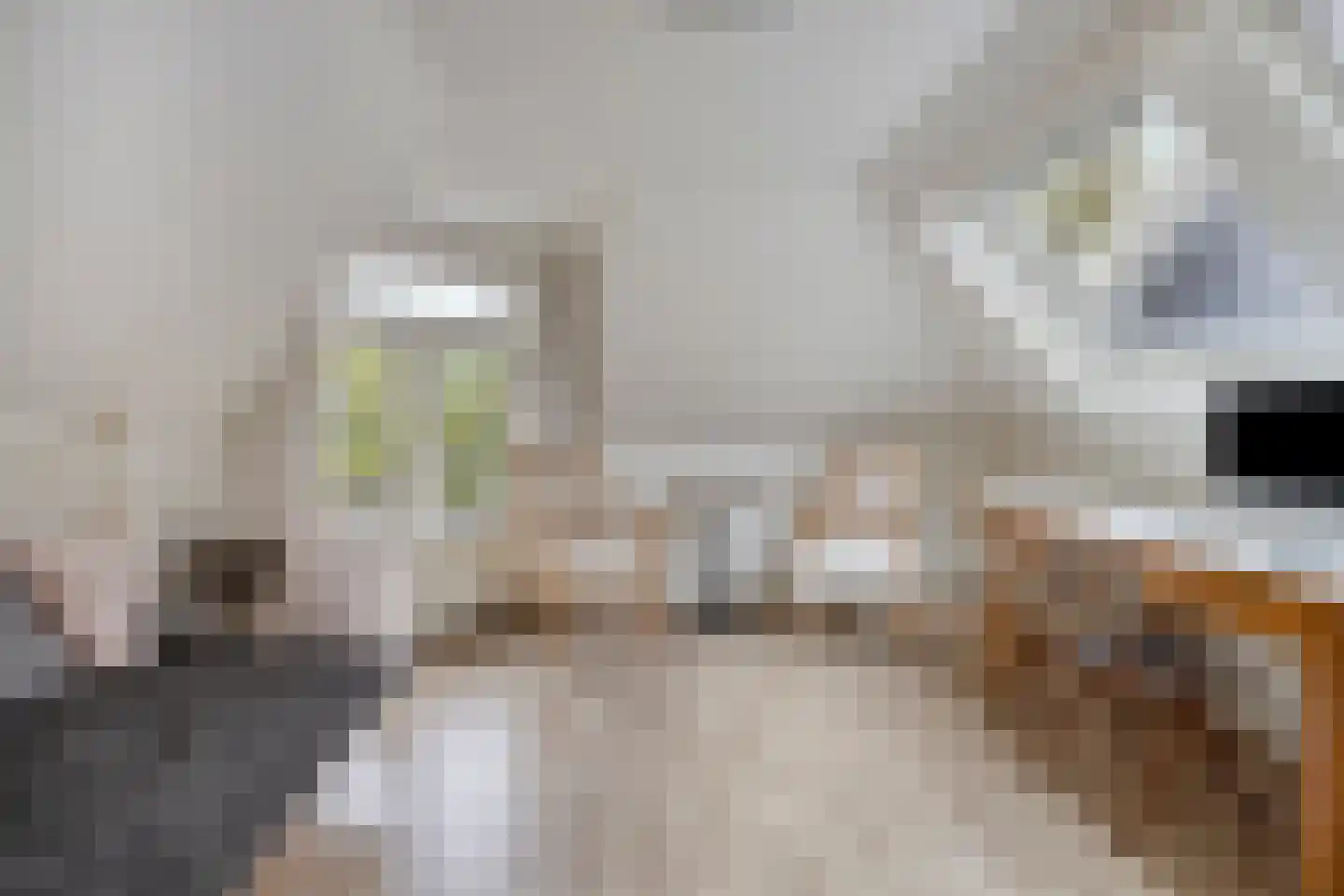 Warande 99 Schiedam thumbnail 39