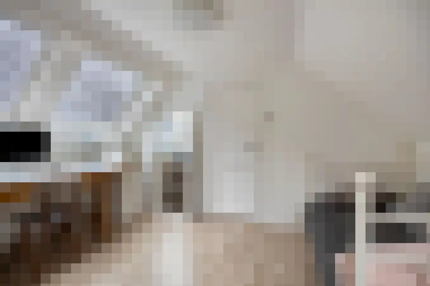 Warande 99 Schiedam thumbnail 40