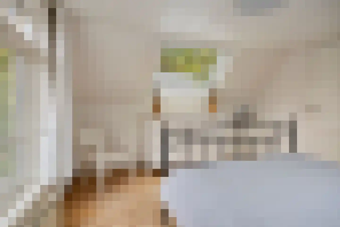 Warande 99 Schiedam thumbnail 42