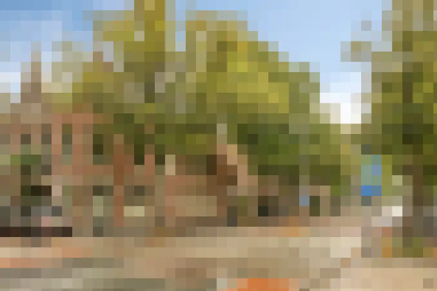 Warande 99 Schiedam thumbnail 43