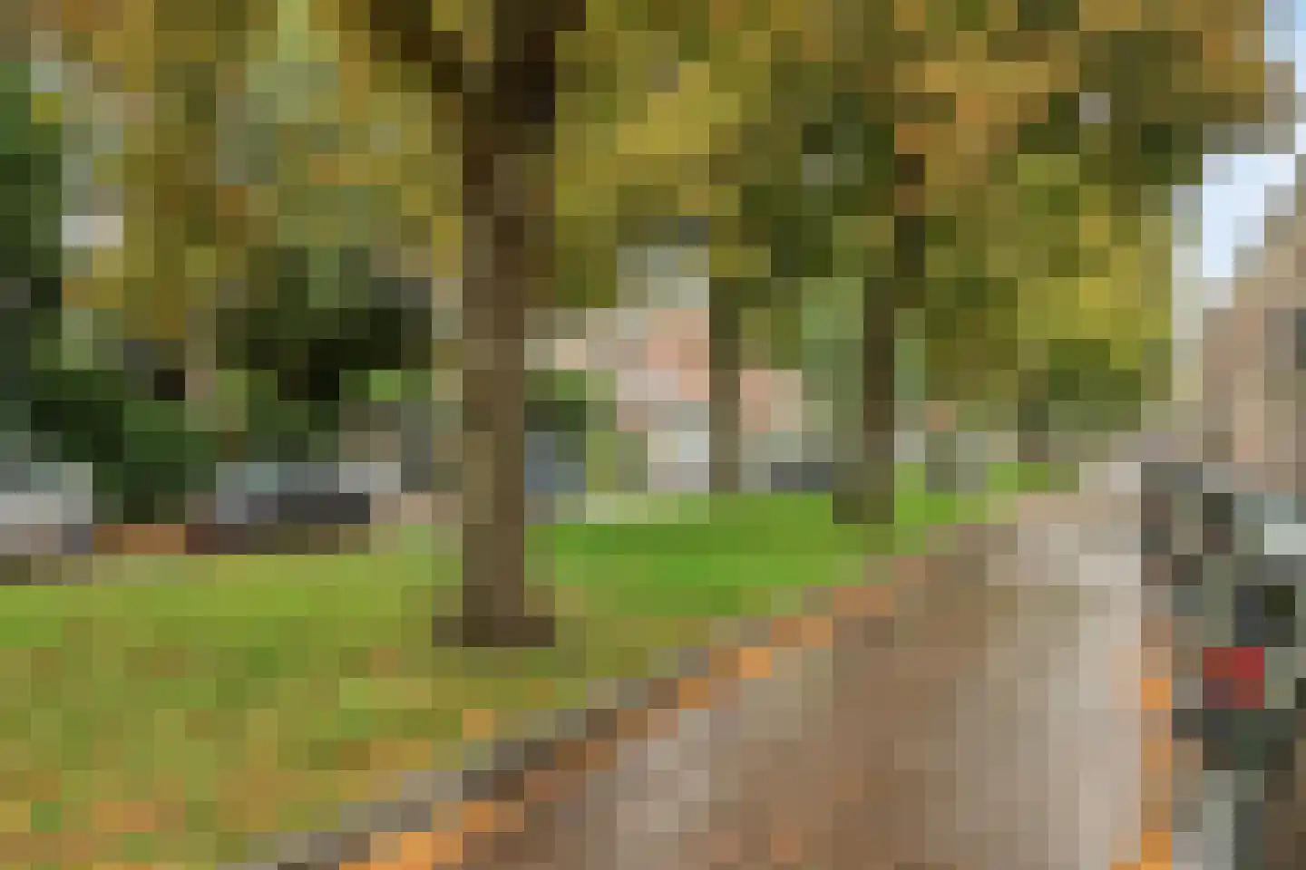 Warande 99 Schiedam thumbnail 44