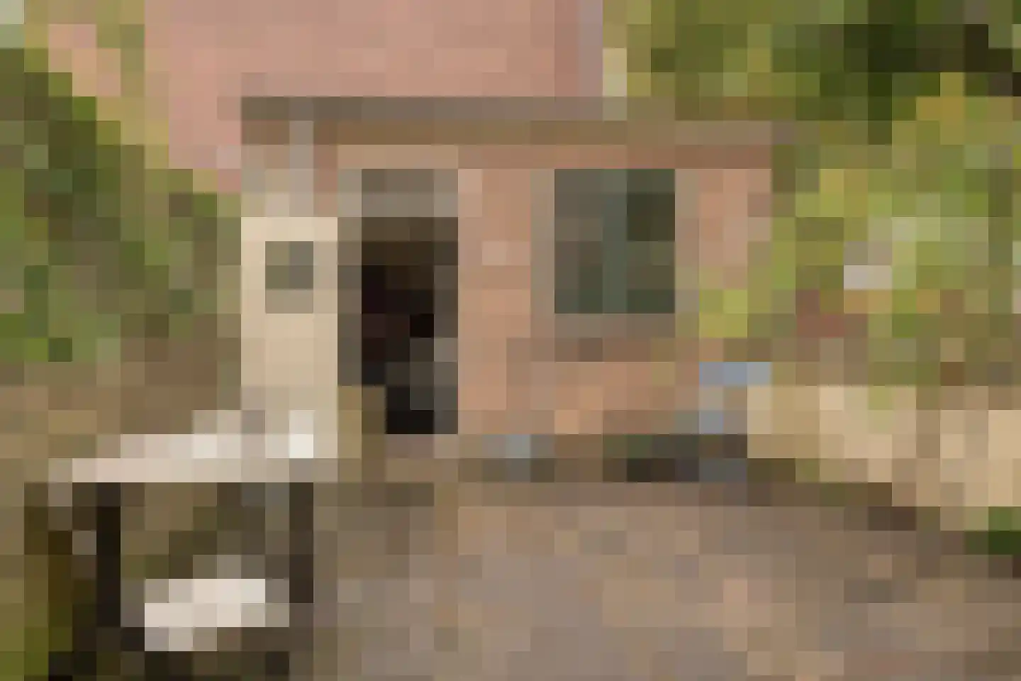 Warande 99 Schiedam thumbnail 5