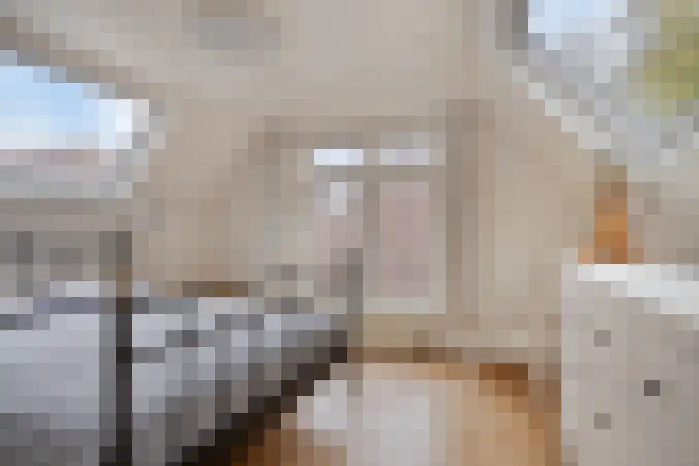 Warande 99 Schiedam thumbnail 9