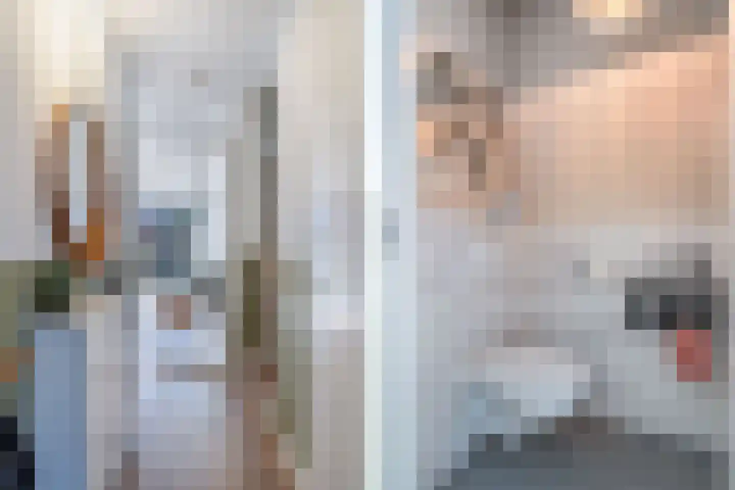 Warandebergstraat 6 Huizen thumbnail 13