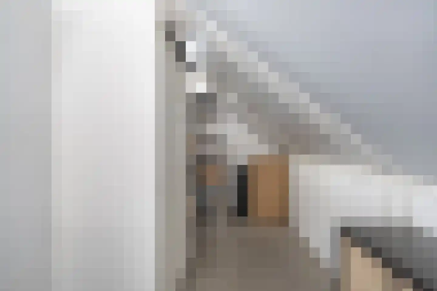 Warandebergstraat 6 Huizen thumbnail 30