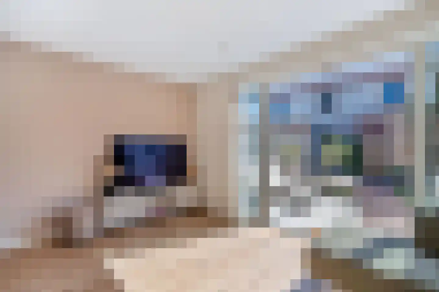Warandebergstraat 6 Huizen thumbnail 6