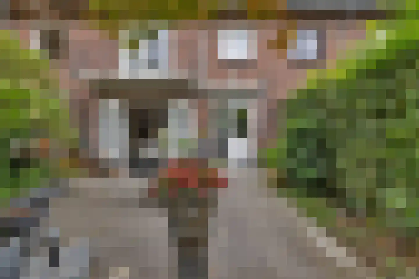 Warandelaan 51 Helmond thumbnail 47