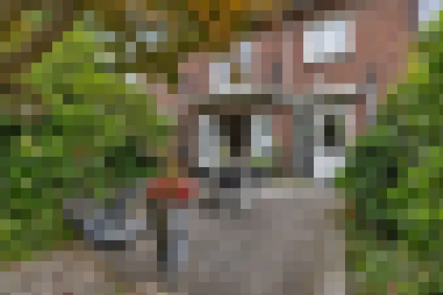 Warandelaan 51 Helmond thumbnail 48