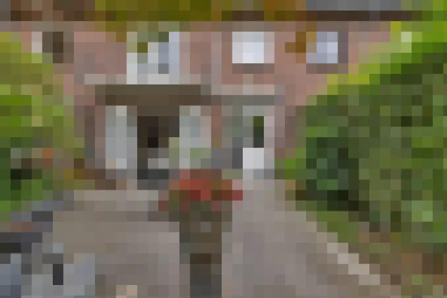 Warandelaan 51 Helmond thumbnail 5