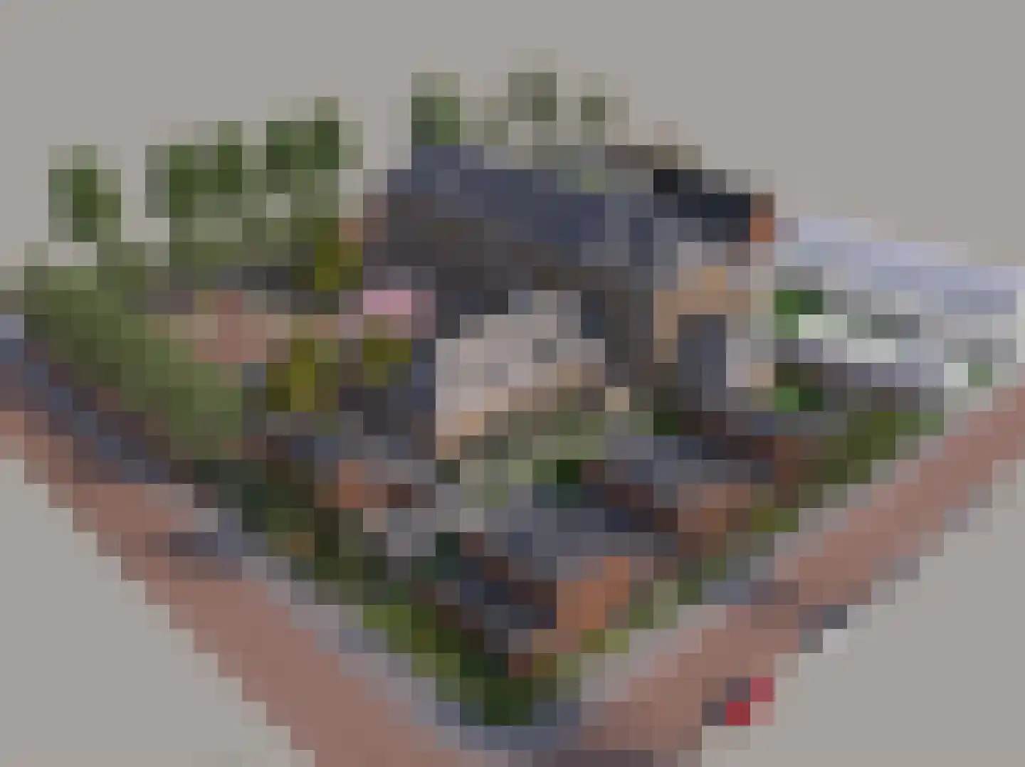 Warandeplein 20 Valkenswaard thumbnail 6