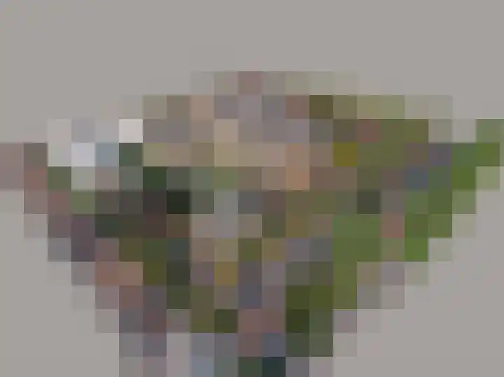 Warandeplein 26 Valkenswaard thumbnail 5