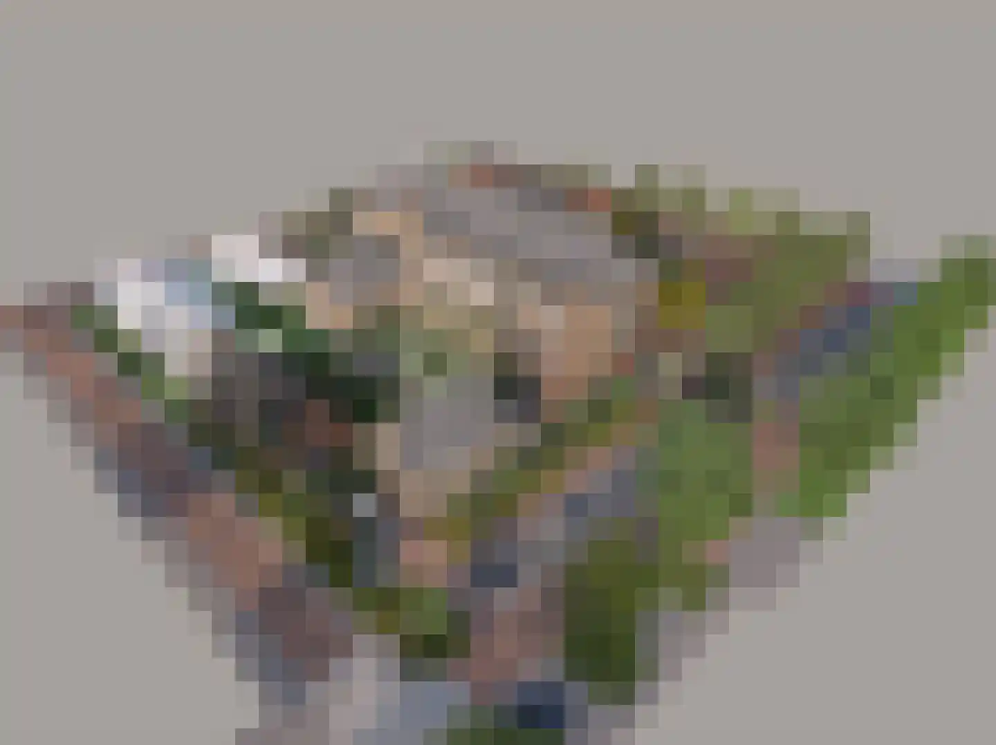 Warandeplein 40 Valkenswaard thumbnail 5