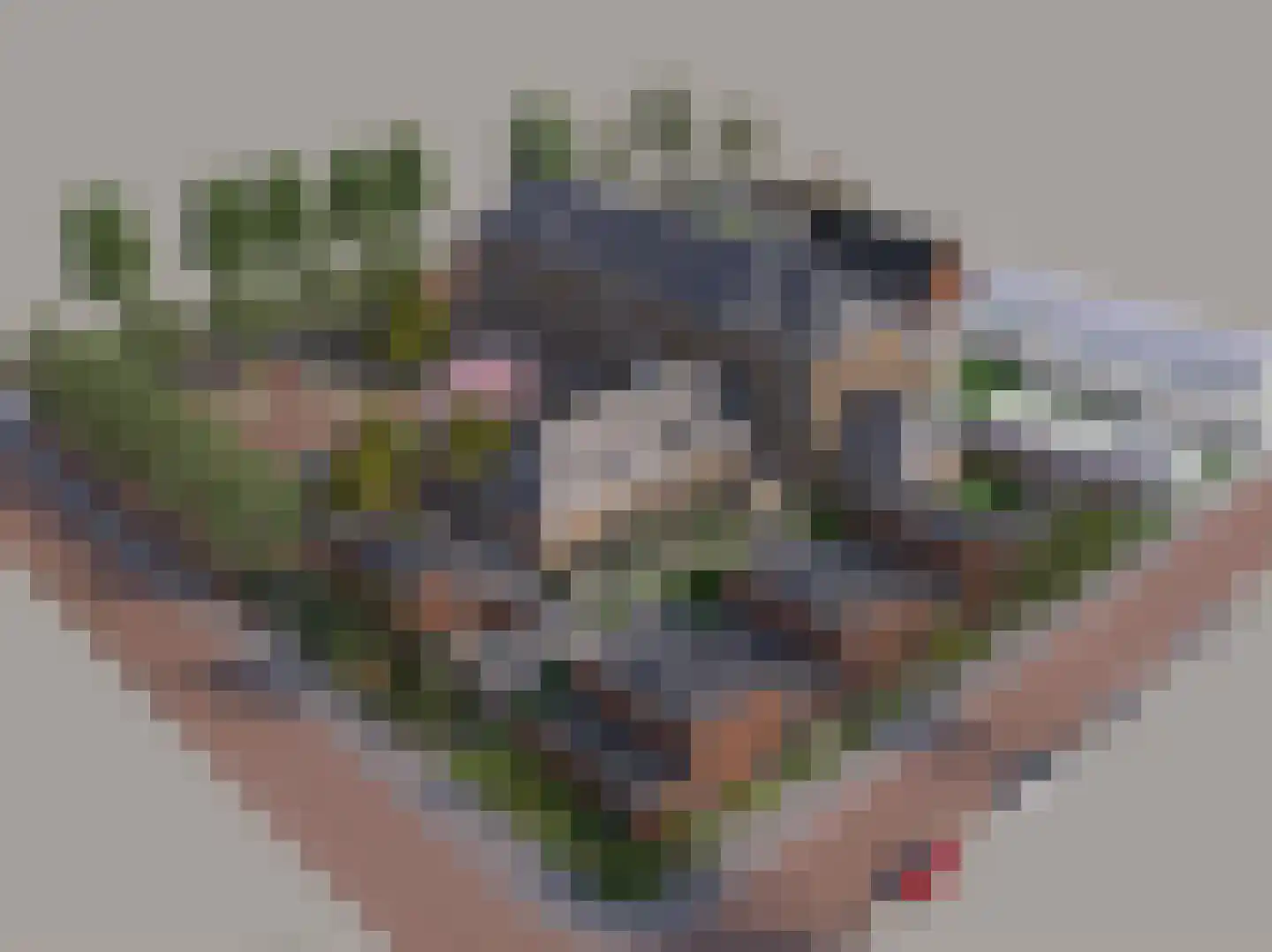 Warandeplein 40 Valkenswaard thumbnail 7
