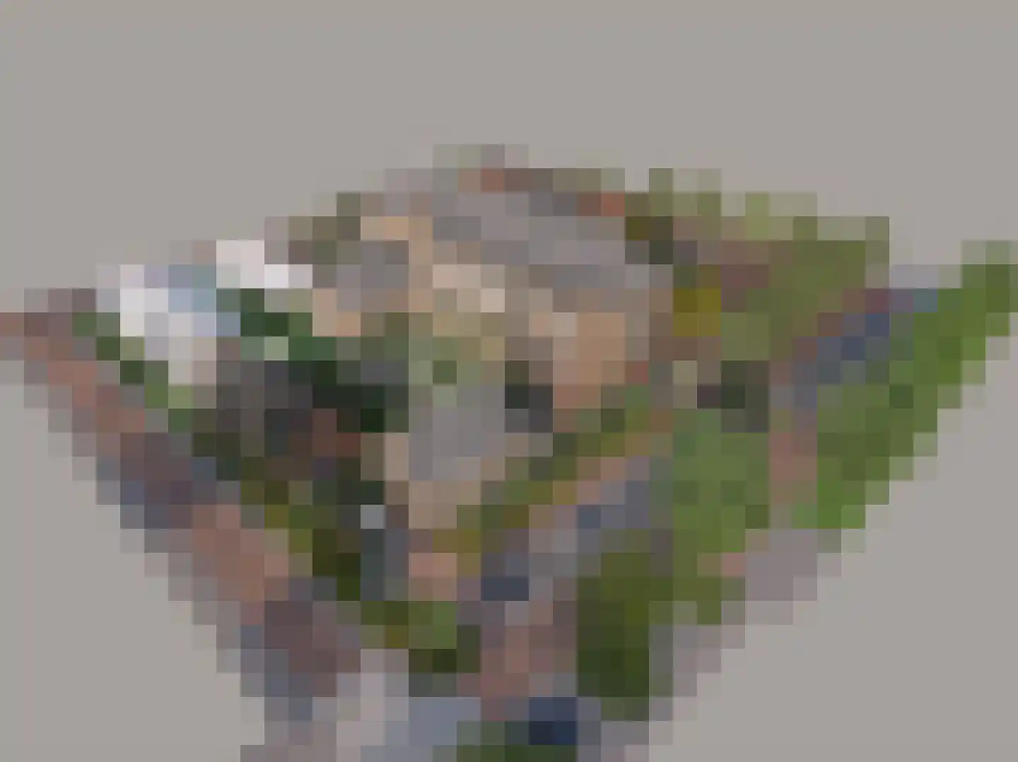Warandeplein 42 Valkenswaard thumbnail 6
