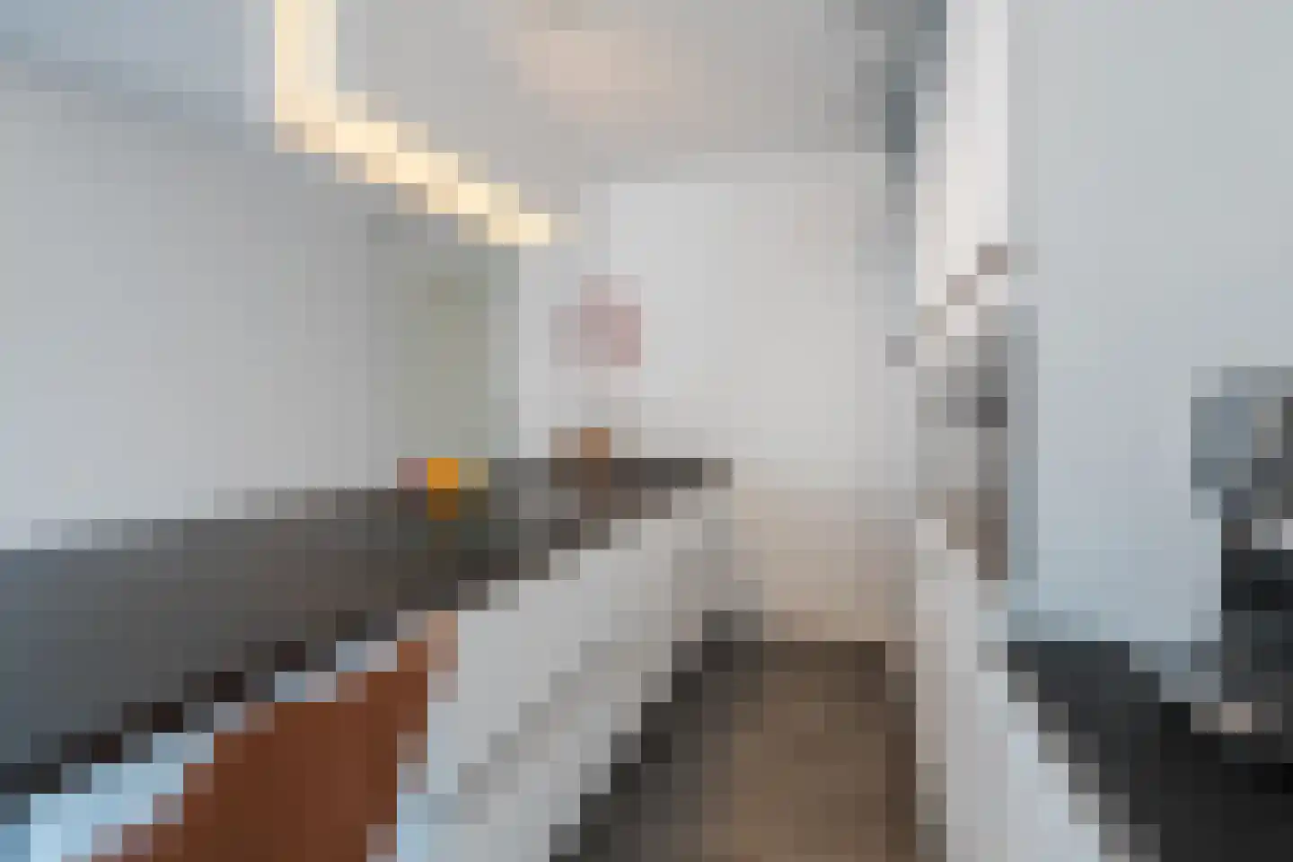 Warandepoort 41 Oosterhout thumbnail 10