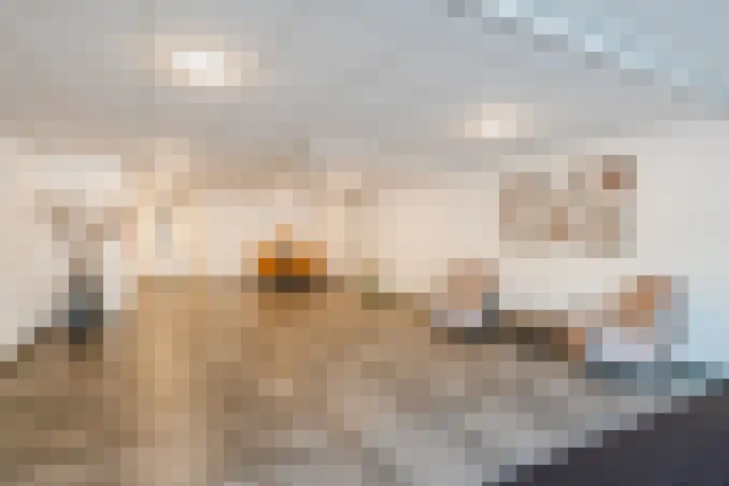 Warandepoort 41 Oosterhout thumbnail 27