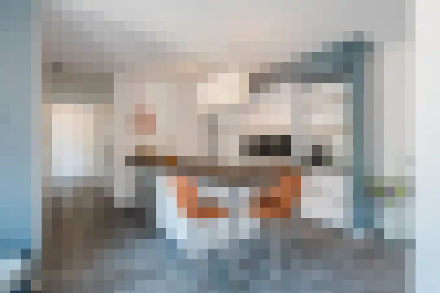 Warandepoort 41 Oosterhout thumbnail 8