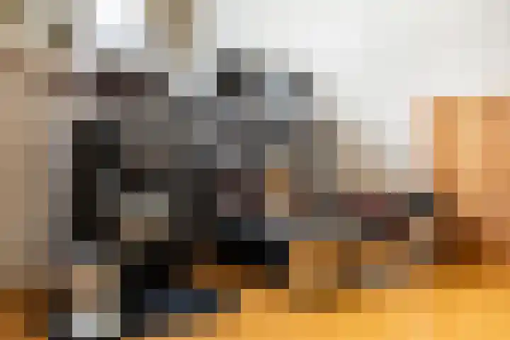 Warder 129 Warder thumbnail 19